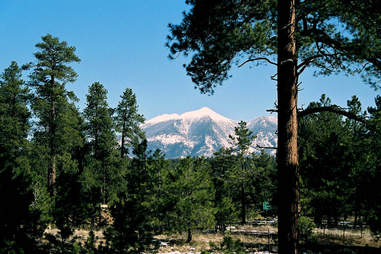 flagstaff arizona