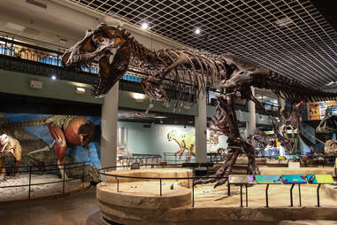 Dinosaur Hall