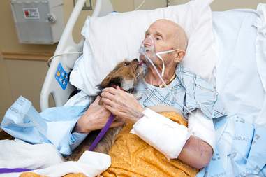 dog visits dad in hospital