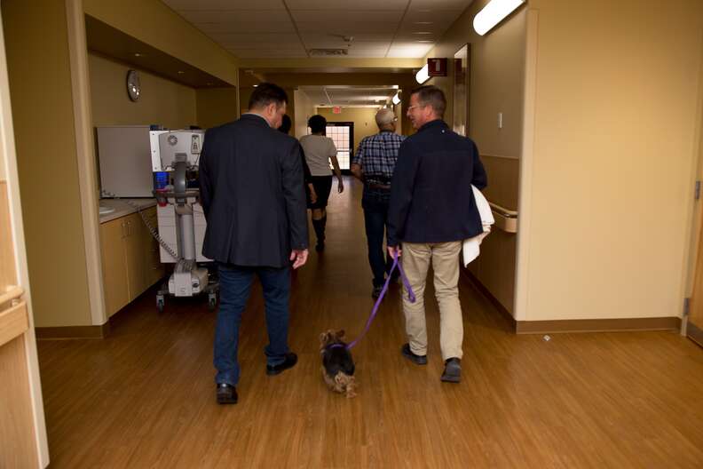 dog visits dad in hospital
