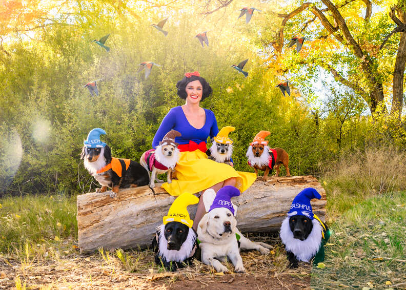 Woman and dogs dresses as Snow White and the Seven Dwarves