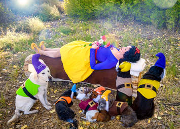 Woman and 7 dogs dress up for Halloween