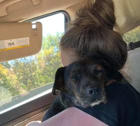 woman adopts 3 dogs