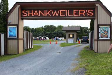 Shankweiler's Drive-In