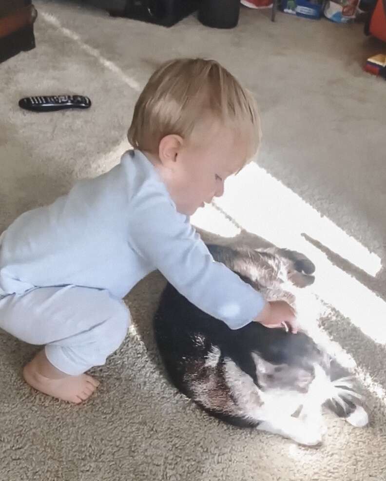 Brody the baby and his cat friend Zora