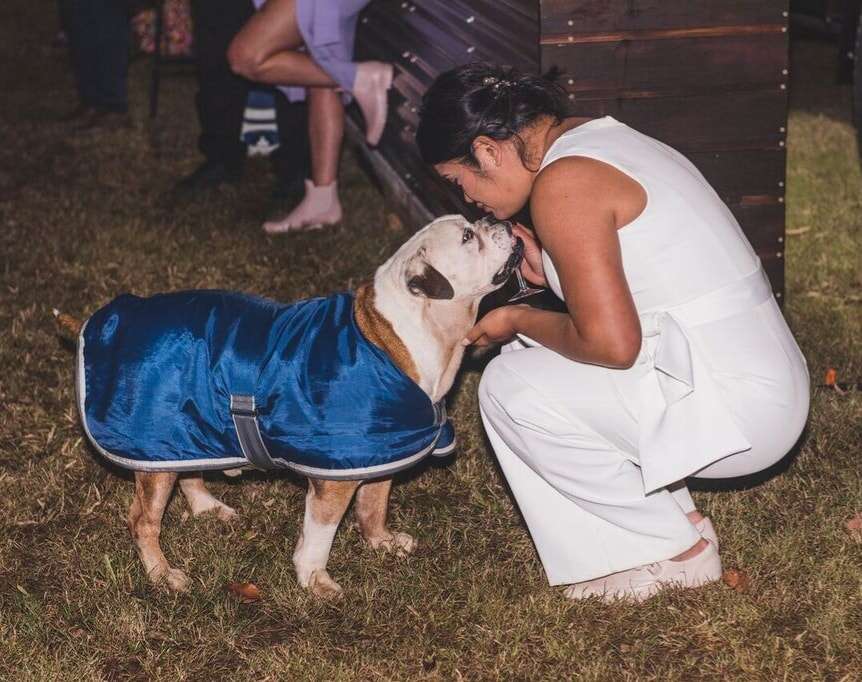 Bride forgives dog for peeing on her
