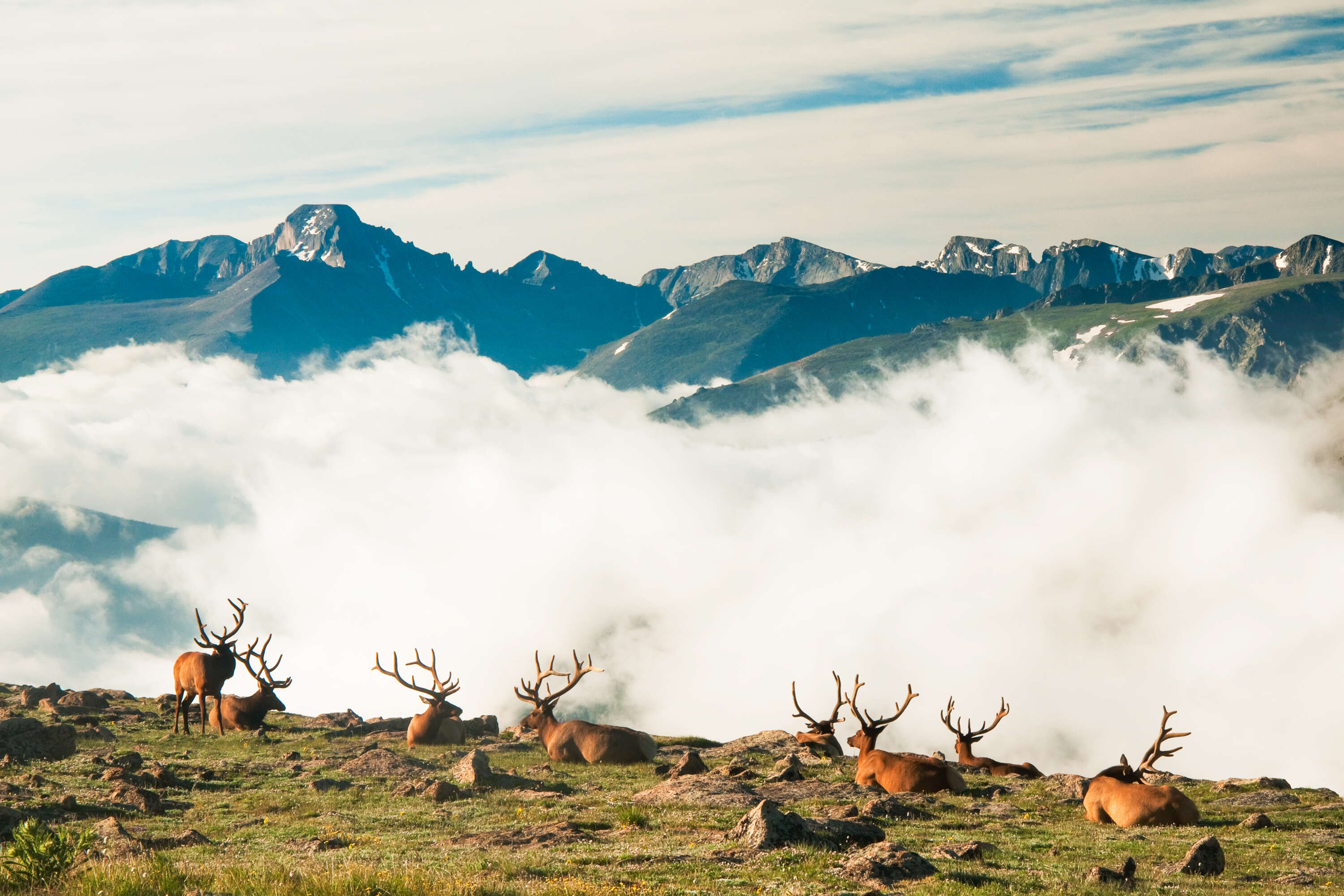 Longs Peak