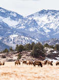 Everything You Need to See and Do in Rocky Mountain National Park