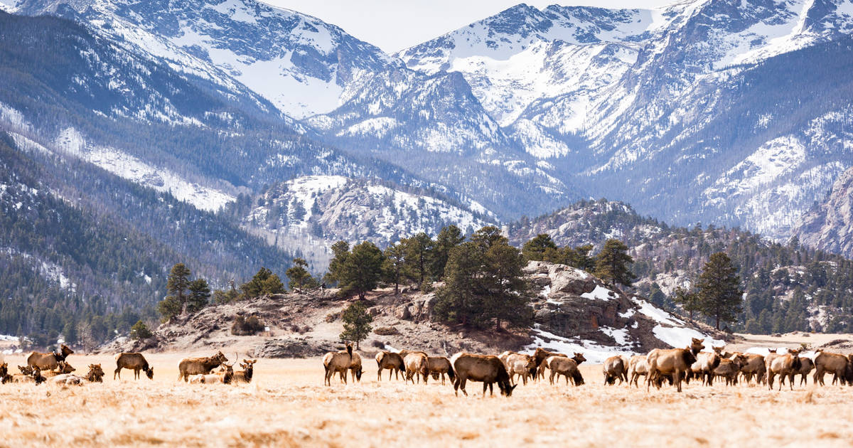 Is Rocky Mountain National Park in Estes Park? - Rocky Mountain Resorts