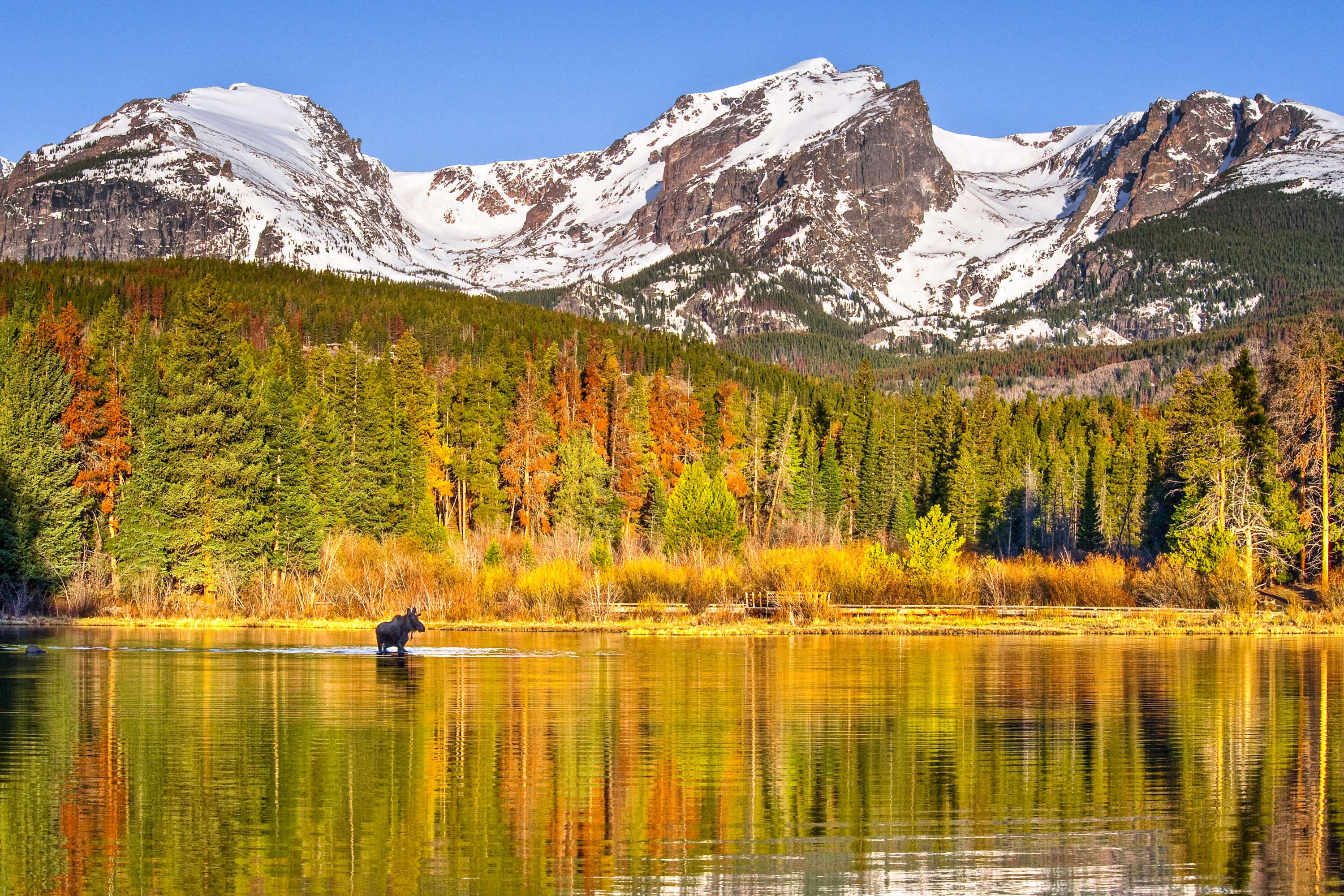 Sprague Lake in Rocky Mountain National Park