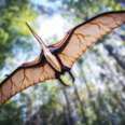 Everything We Know About Dinosaur Evolution Just Changed, Here’s Why