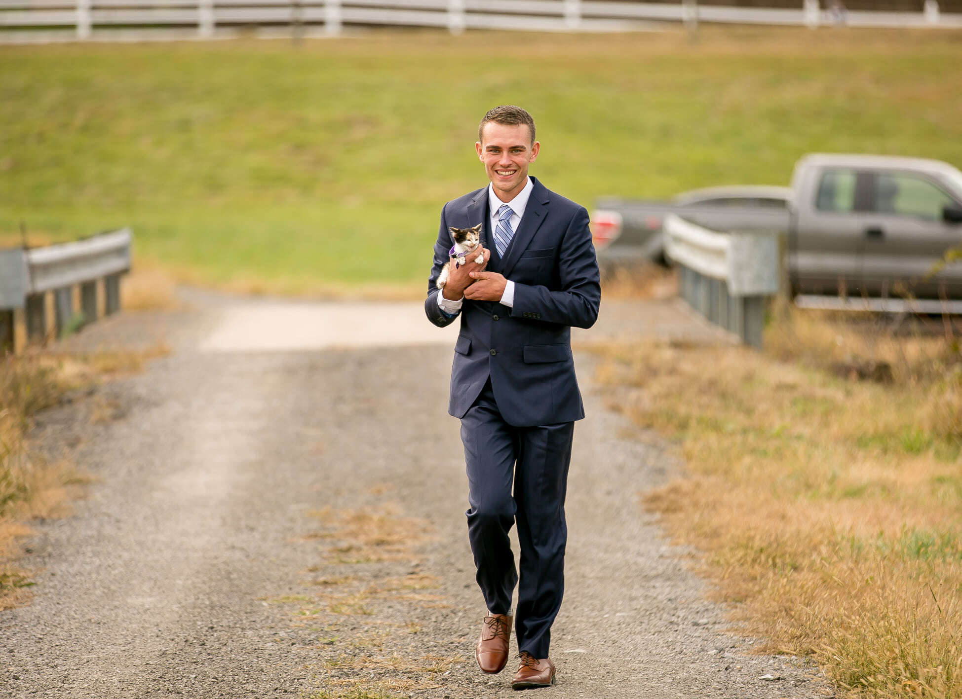 wedding kitten