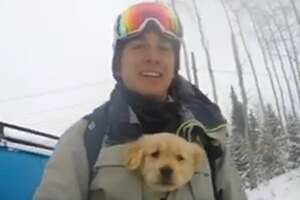 Dog And His Dad Do Every Sport Possible Together