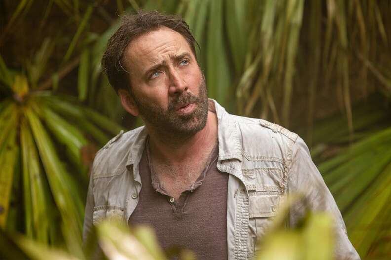 neck sanity precocious Primal' Movie Review: Nic Cage Fights Escaped Animals & War Criminals -  Thrillist