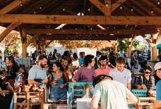 The Actually Cool Things to Do in Athens, Georgia