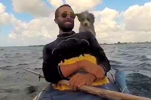 Guy Kayaking Across The Ocean Meets A Stray Dog