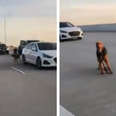 People Pull Together To Save A Frightened Dog Loose On Highway