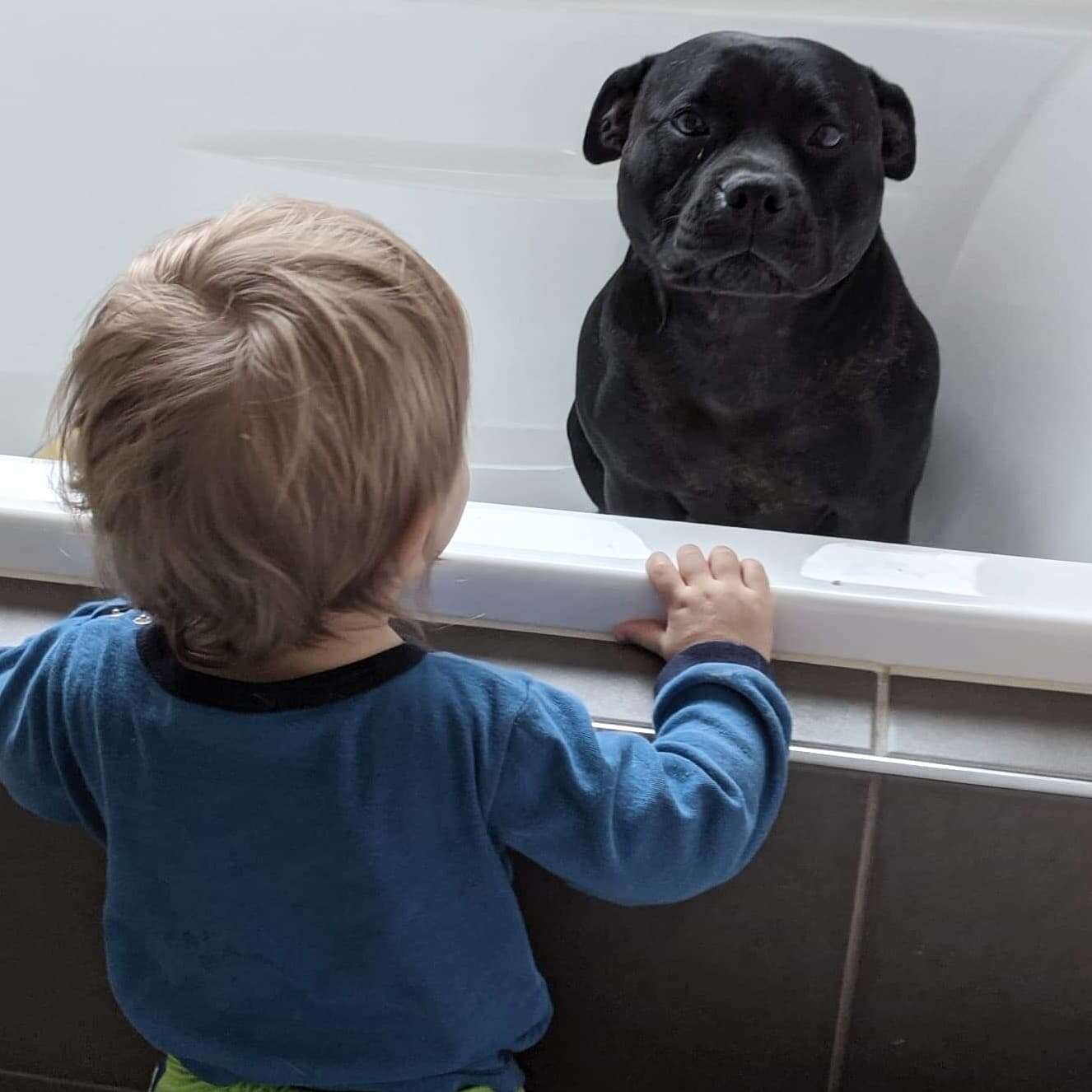 dog loves bath time