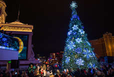 Everything You Need to Do in Las Vegas Over the Holidays