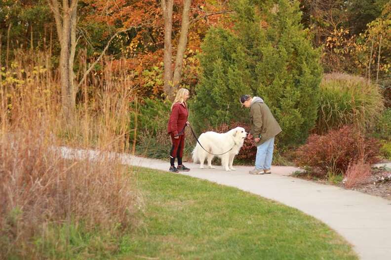 woman spots dog