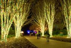 Everything You Must Do in Nashville This Holiday Season