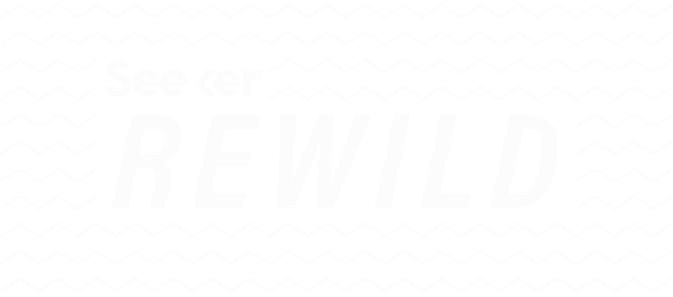 ReWild logo