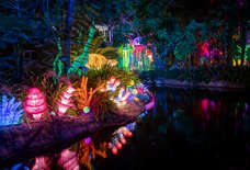 Everything You Need to Do in Miami This Holiday Season