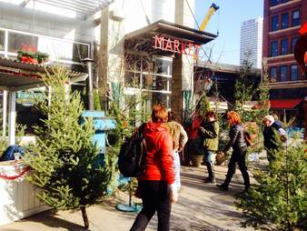 Charlie Brown Tree Lot