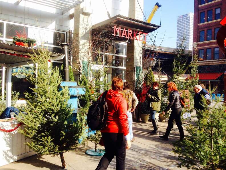 Charlie Brown Tree Lot