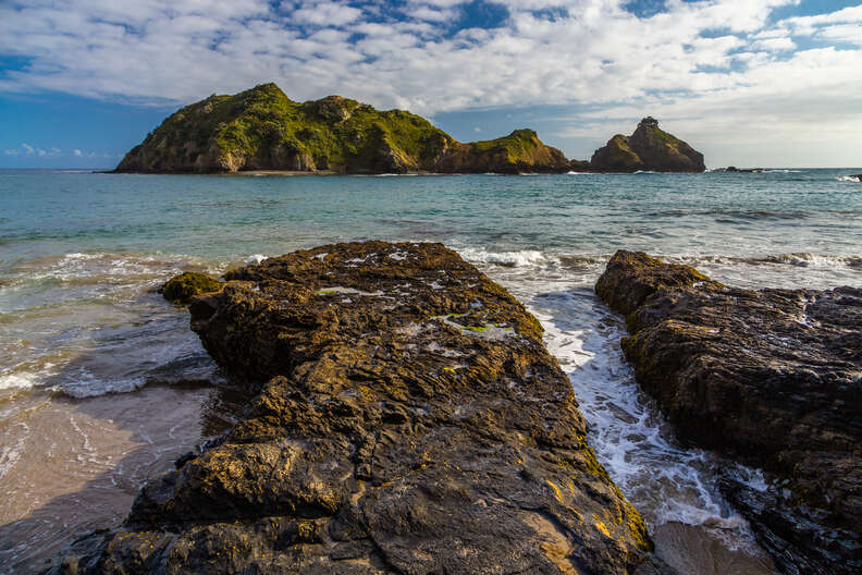 Great Barrier Island