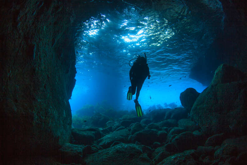 Poor Knights Islands