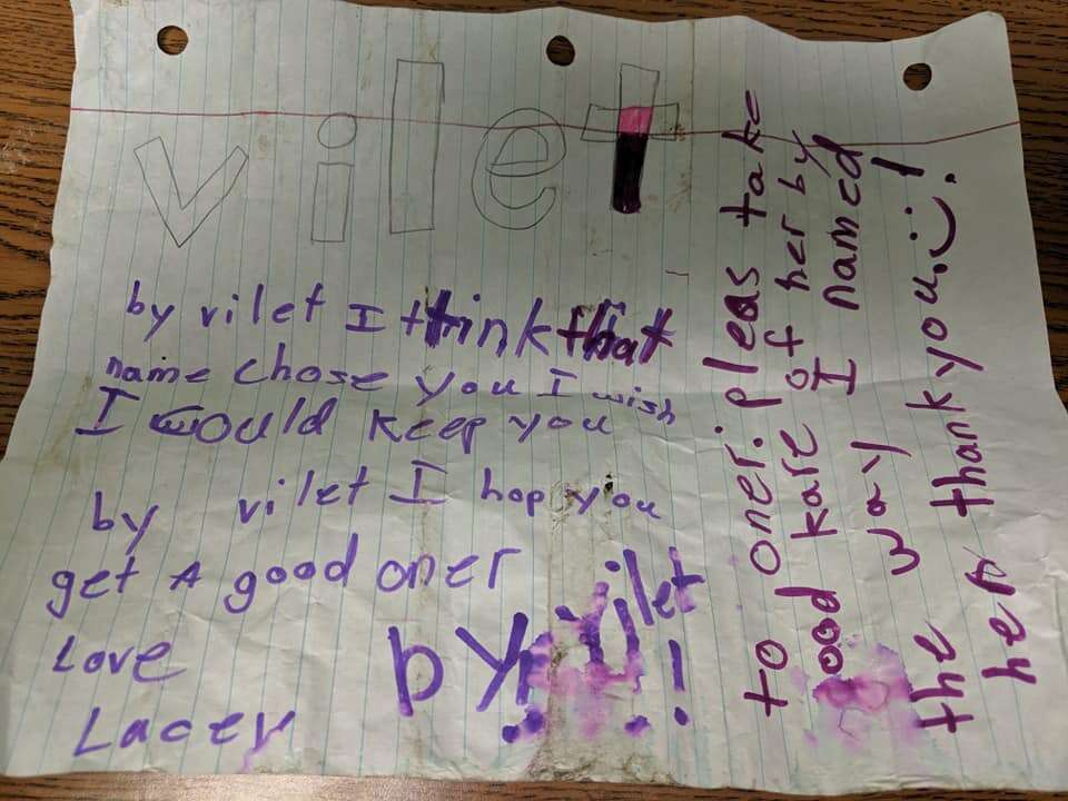 Note written by little girl found on cat's collar