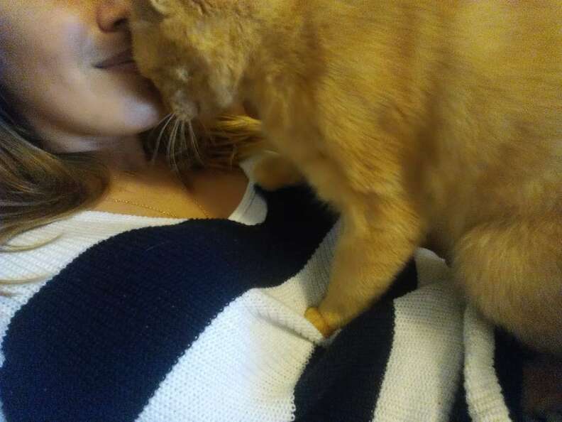 Cat Jumps Into His Mom's Arms After Being Lost For 536 Days