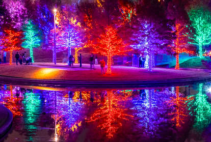 Christmas Lights at Vitruvian Park