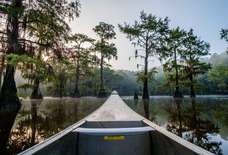 9 Weekend Getaways to Escape Dallas for a Few Days