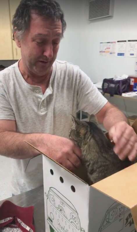 Man reunites with cat after 7 years