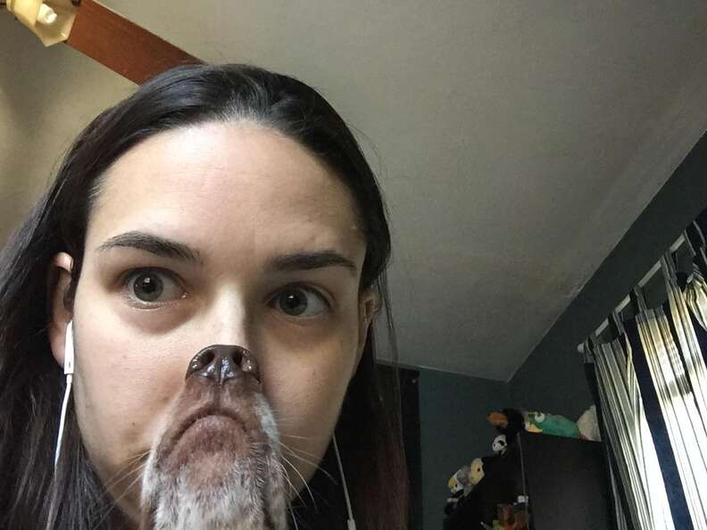 Woman's Photo With Her Dog Turns Into Real-Life Snapchat Filter - The Dodo