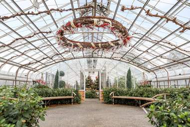 A Longwood Christmas