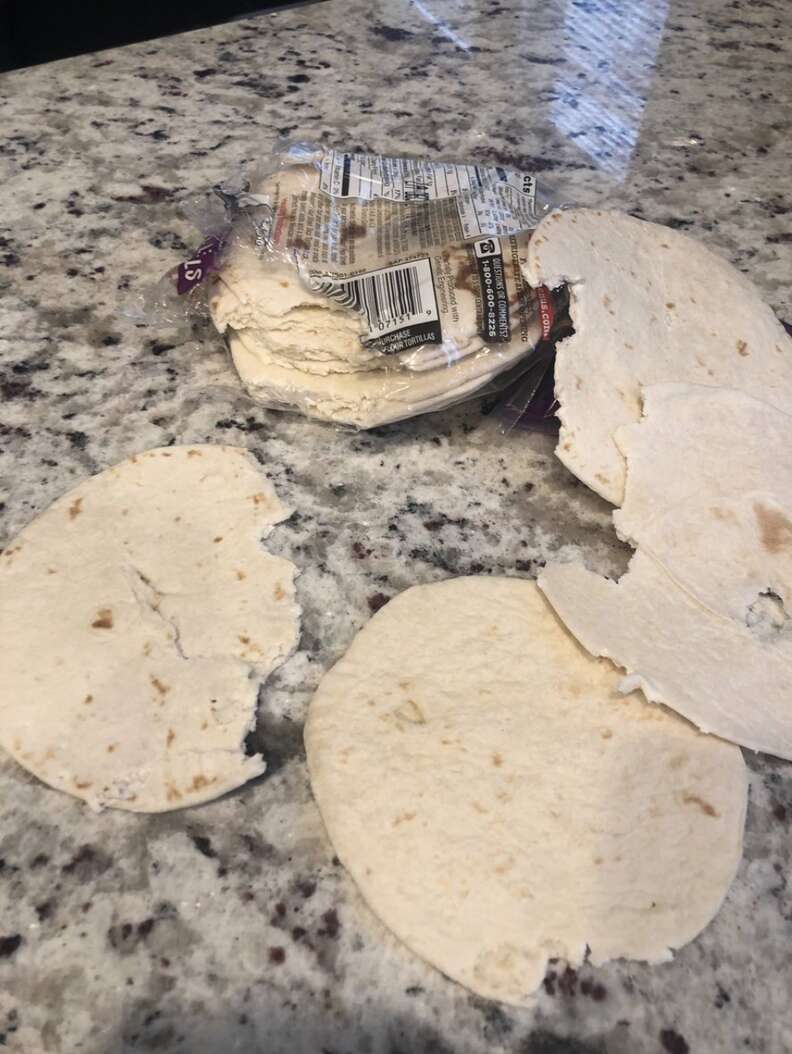 cat steals tortillas