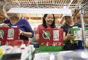 How to Volunteer in the Twin Cities This Holiday Season