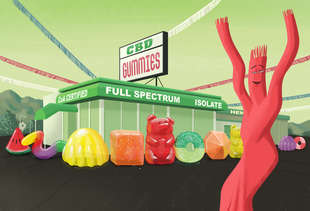 Your Handy Dandy CBD Gummy Purchasing Guide