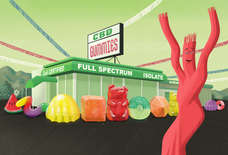 Your Handy Dandy CBD Gummy Purchasing Guide