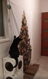 wall tree