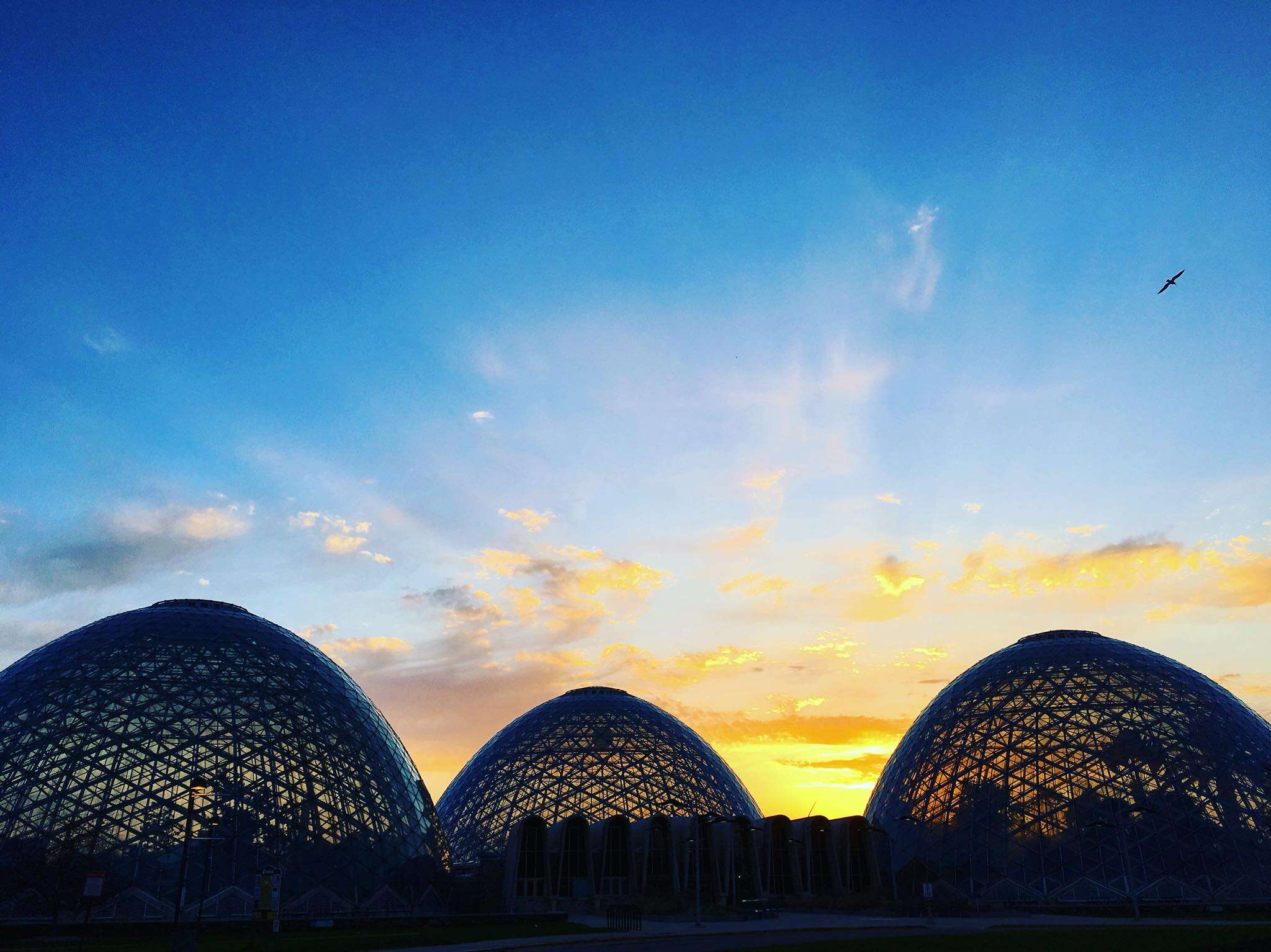 The Milwaukee Domes