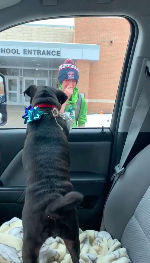 Pug reunites with his boy after going missing