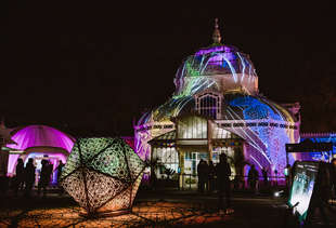 Everything Fun to Do in San Francisco This Winter