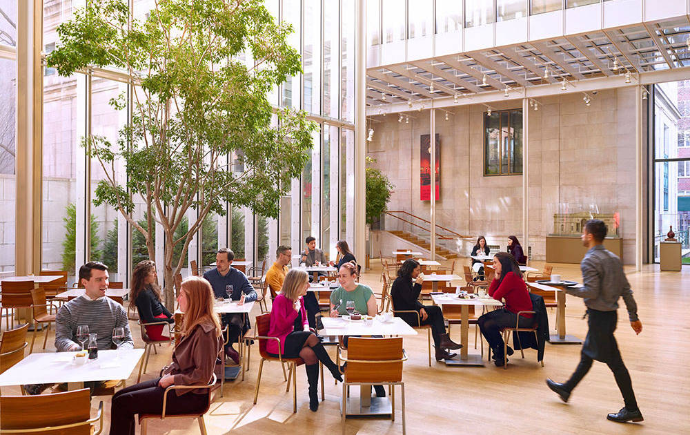 Best Museum Restaurants & Cafés in NYC: Food at MoMA, Whitney and