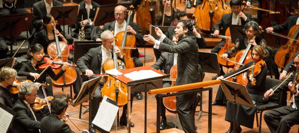 Everything You Must Absolutely Do in Houston This Weekend