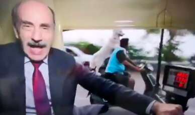 Dog on a motorbike photobombs journalist