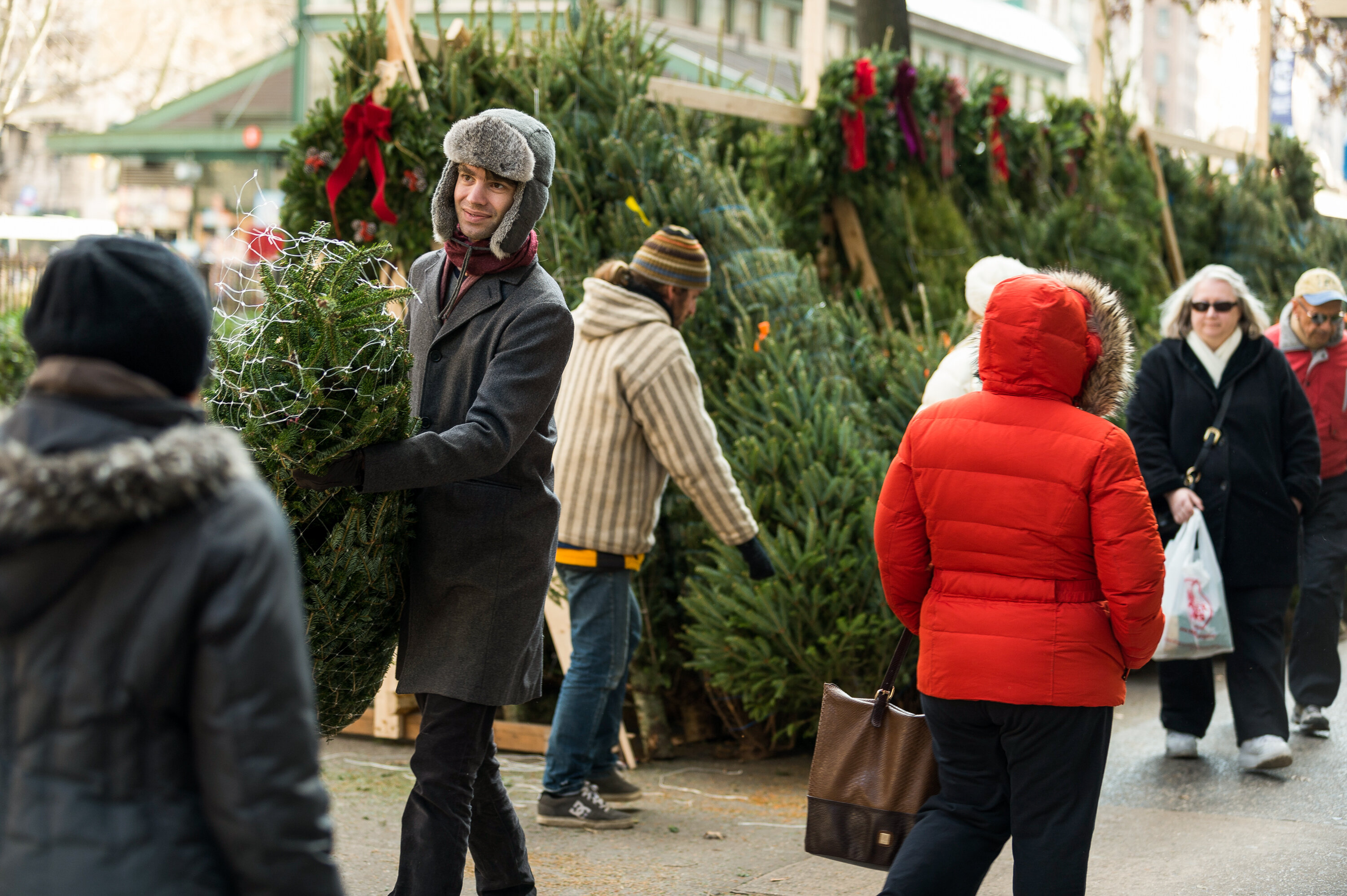 Christmas Trees In Nyc Where How To Find The Perfect Christmas Tree Thrillist
